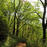 P4250203
