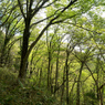 P4250204