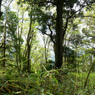 P4250206