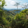 P4250223