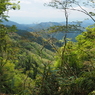 P4250224