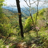P4250228