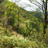 P4250243