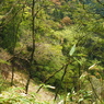 P4250244