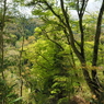 P4250248