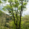 P4250249