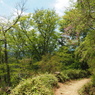 P4250251