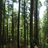 P4250256
