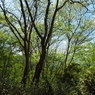 P4250266