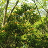 P4250267