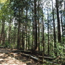 P4250268