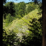 P4250271