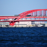 大橋を渡るポートライナー