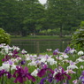 IMGP3319