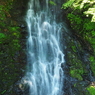 P5140319