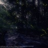 Firefly of hazy moon☆