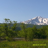 DSCF0185