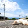 なんかいい心地