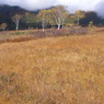 尾瀬ヶ原・・2010秋