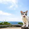 お立ち台でぺろりんちょ