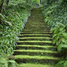 鎌倉 妙法寺