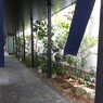 風の通り道～～