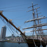 帆船 STAD AMSTERDAM (1)