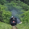 トンネル抜けて～♪
