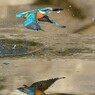 水鏡