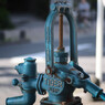フジの高値に降る気持ち：50ｍｍ
