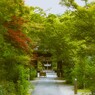 市中の山居～～
