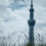 大川下ル：50ｍｍ