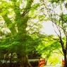 精神風土…？ってあるんでしょうね…