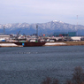 20100304雄物大橋近くより太平山望遠04