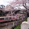 20100403聖橋02
