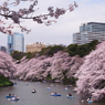 20100403千鳥ヶ淵68
