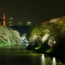 20080327千鳥が淵