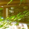 もう　思い出～～