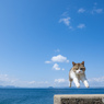 それっ