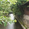 高瀬川の透明な流れ～～