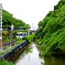 湿度高め