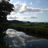 映り込みが綺麗な川（6月5日）