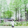 のどかと木
