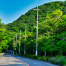 登山日和。