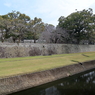 長塀なう