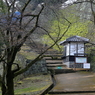 通路なう