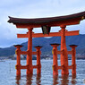 厳島神社大鳥居