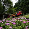 樽見鉄道 ＃12 高尾駅