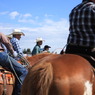 FARMER'S DAY / CONCENTRATION