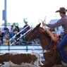 FARMER'S DAY / TEAM ROPING